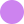 purple dot 1