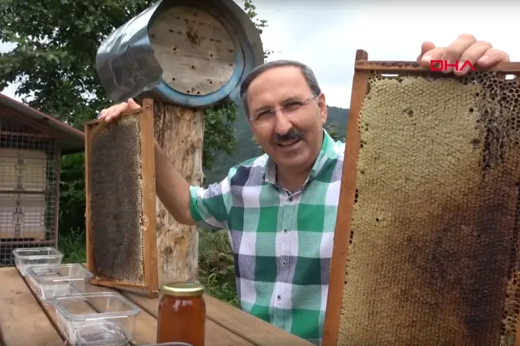 Ibrahim Sedef with Honeycombs