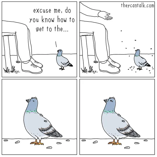 Pigeon Comic